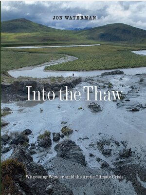 Into the Thaw - ebook